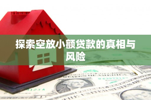 东丽探索空放小额贷款的真相与风险
